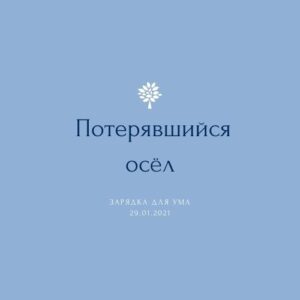 Потерявшийся осёл